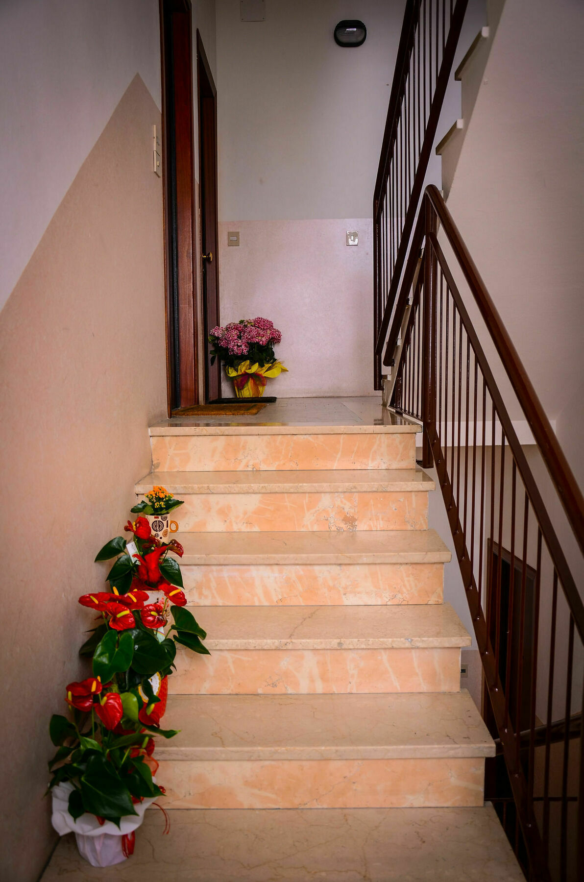Il Piccolo Piacenza Hotel Bagian luar foto